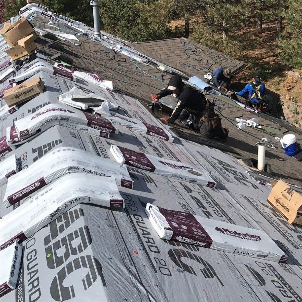 e2b79b41-2542-469c-a203-5f5640158d38 (1).jpg